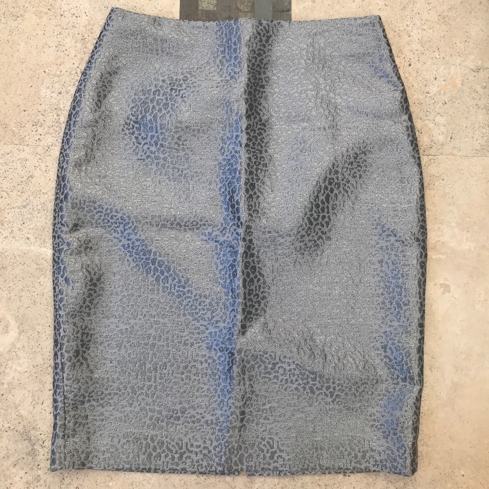 Ann Taylor Skirt